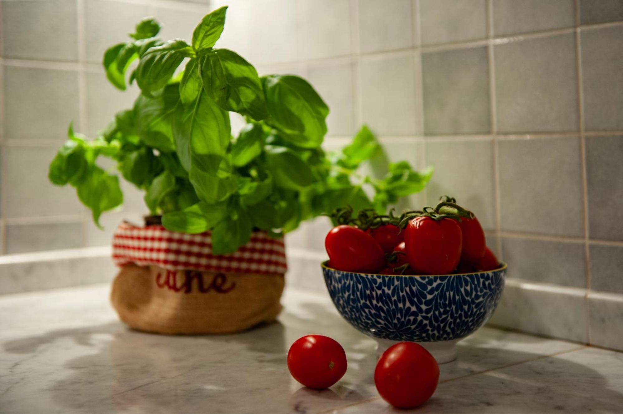 Apartamento Casa Rossetti - Flo